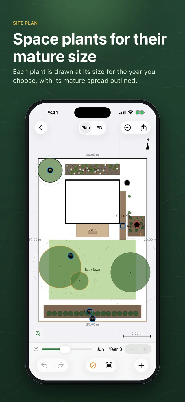 Plan view with every plant drawn at its size for the chosen year and a dashed ring for its mature spread