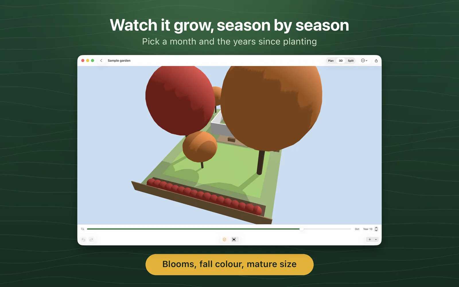 OpenLandscape3D on Mac: the garden in October, with fall colour and mature size